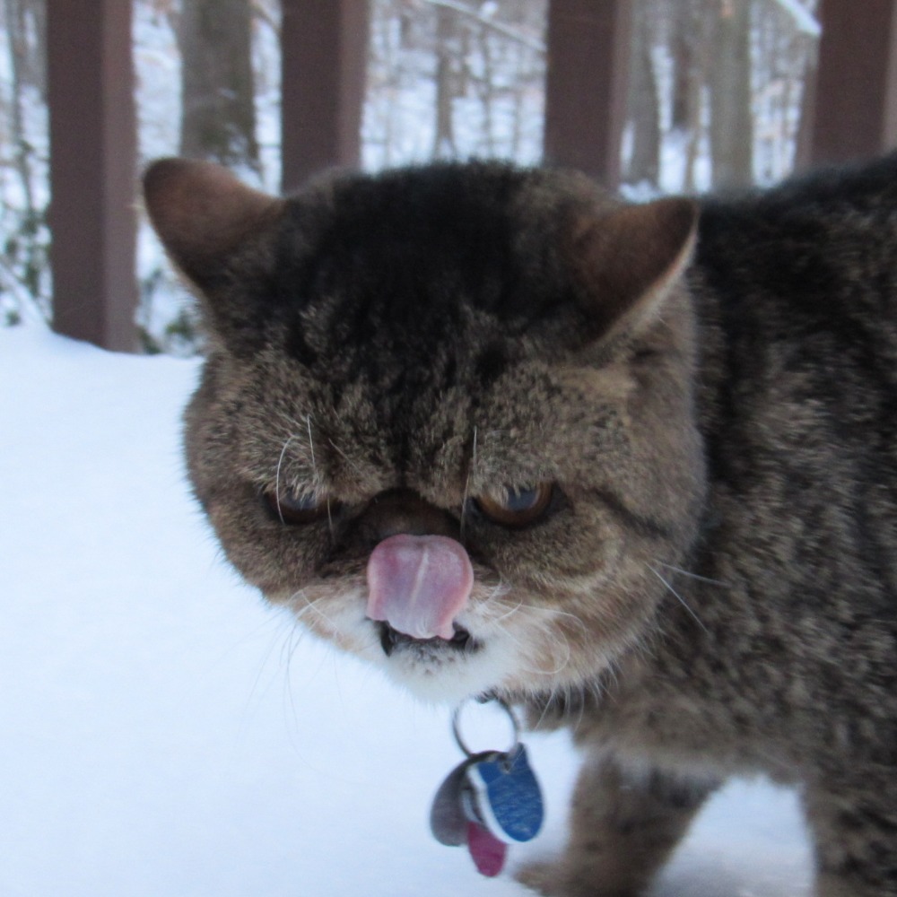 Meet your Posher, Vanessa